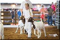 LCFair2016-1606.jpg