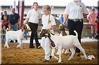 LCFair2016-1607.jpg
