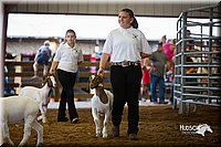 LCFair2016-1608.jpg