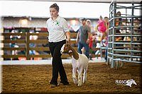 LCFair2016-1609.jpg