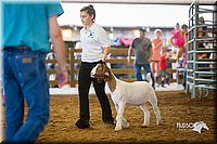 LCFair2016-1610.jpg