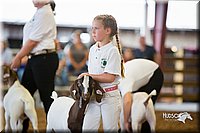LCFair2016-1611.jpg