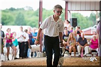 LCFair2016-1612.jpg