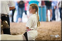 LCFair2016-1619.jpg