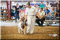 LCFair2016-1642.jpg