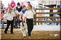 LCFair2016-1645.jpg