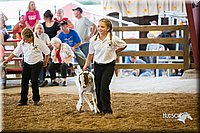 LCFair2016-1646.jpg