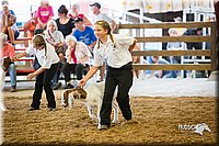 LCFair2016-1647.jpg