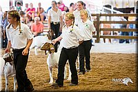 LCFair2016-1648.jpg