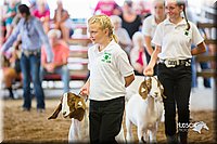 LCFair2016-1650.jpg