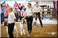 LCFair2016-1651.jpg