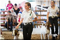 LCFair2016-1652.jpg