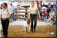 LCFair2016-1653.jpg