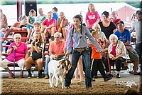 LCFair2016-1656.jpg