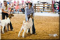 LCFair2016-1658.jpg