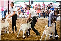 LCFair2016-1659.jpg