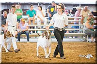 LCFair2016-1717.jpg