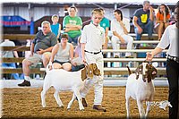 LCFair2016-1718.jpg