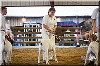 LCFair2016-1724.jpg