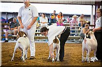 LCFair2016-1728.jpg