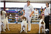 LCFair2016-1739.jpg