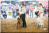 LCFair2016-1755.jpg