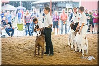 LCFair2016-1756.jpg