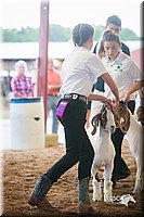 LCFair2016-1762.jpg