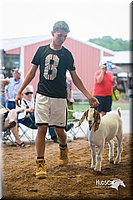 LCFair2016-1766.jpg