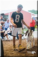 LCFair2016-1767.jpg