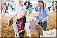 LCFair2016-1787.jpg