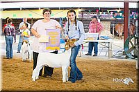 LCFair2016-1792.jpg