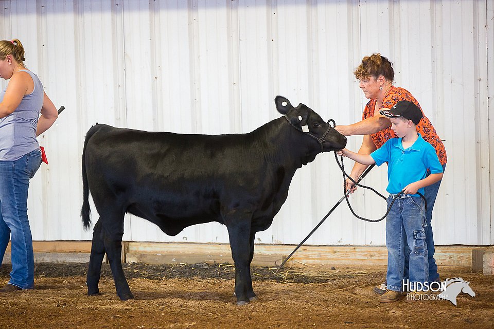 LCFair2016-1436.jpg