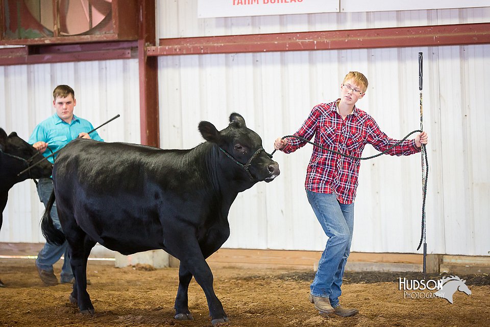 LCFair2016-1508.jpg