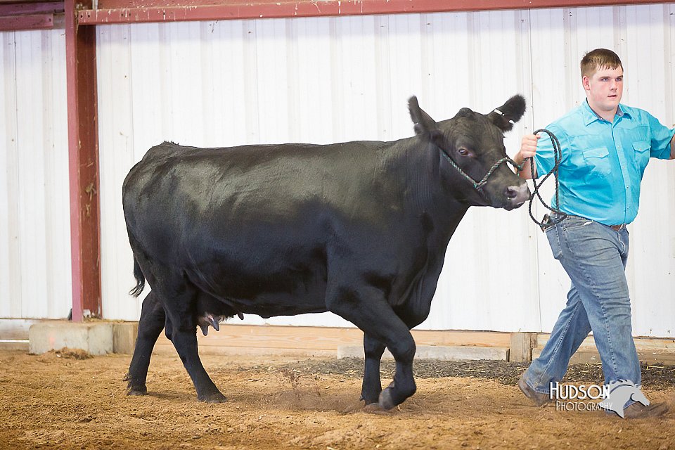 LCFair2016-1544.jpg