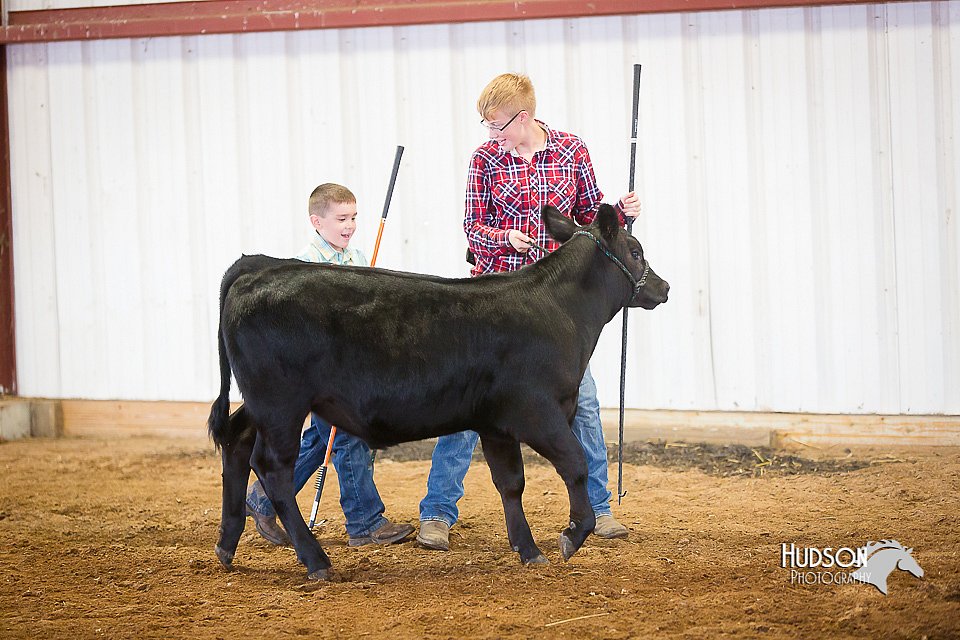 LCFair2016-1548.jpg