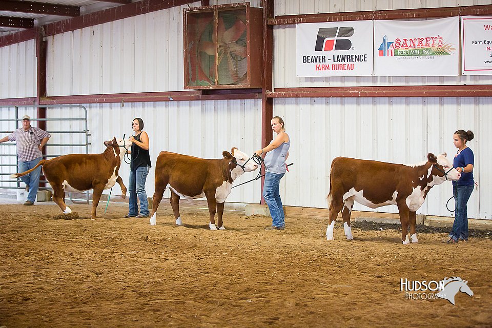LCFair2016-1598.jpg
