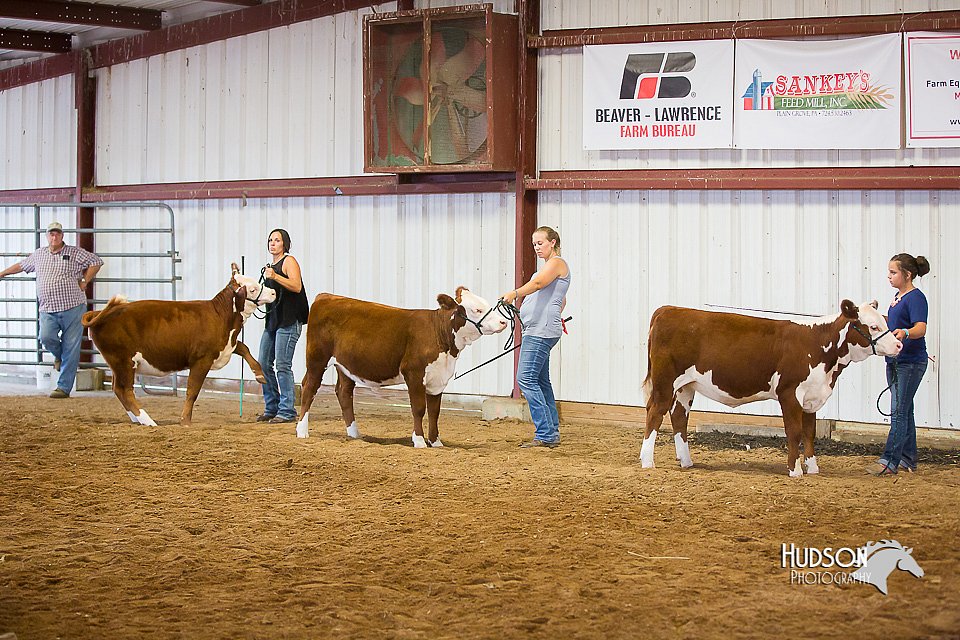 LCFair2016-1599.jpg