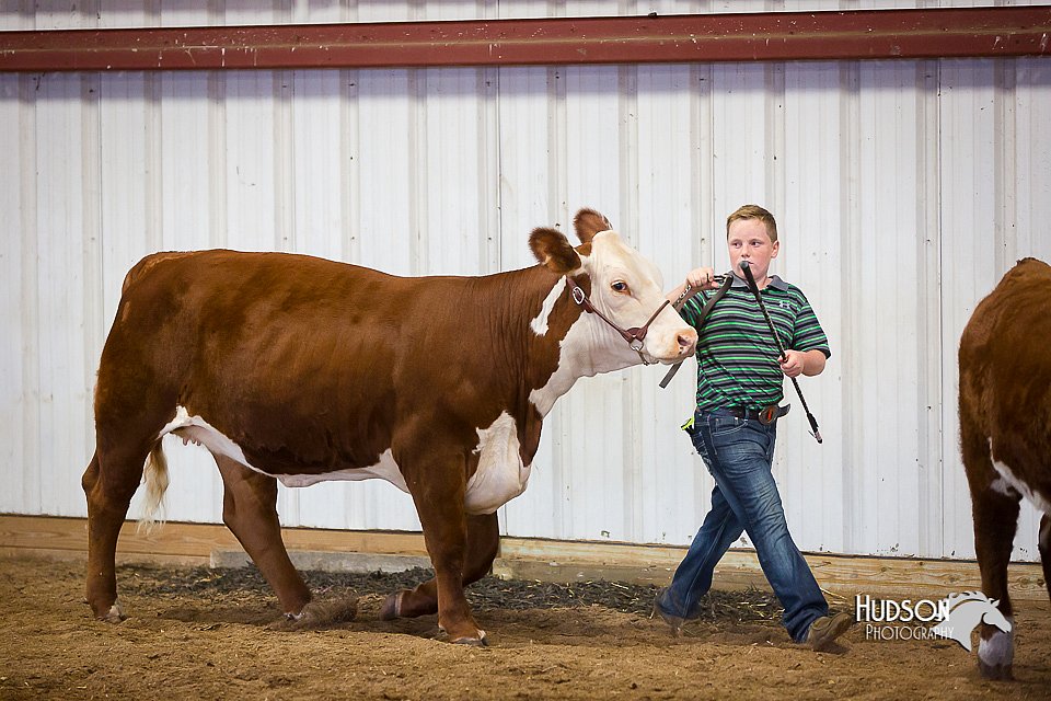 LCFair2016-1614.jpg