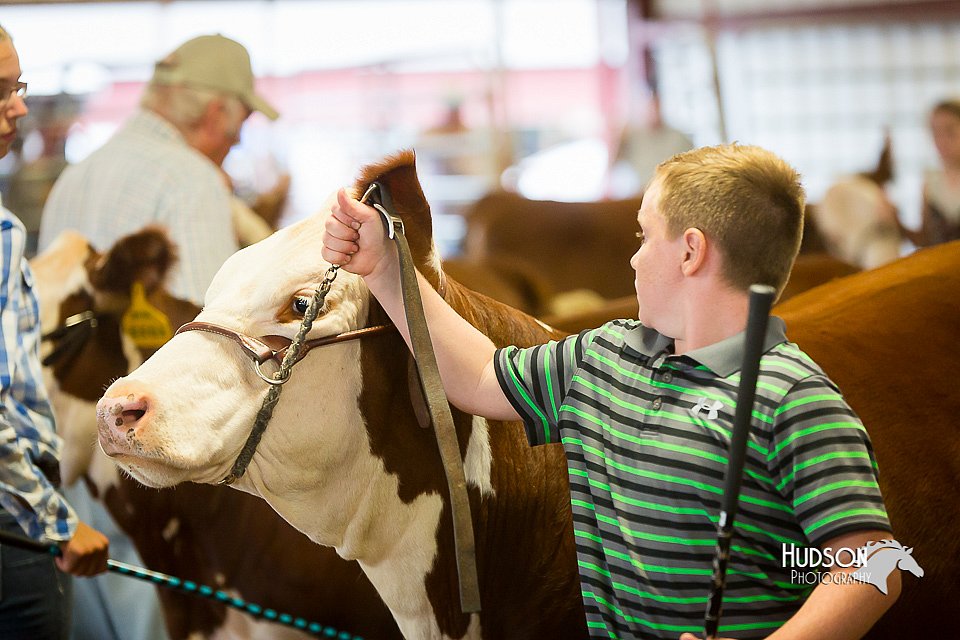 LCFair2016-1617.jpg