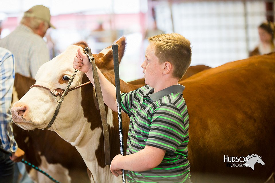 LCFair2016-1618.jpg