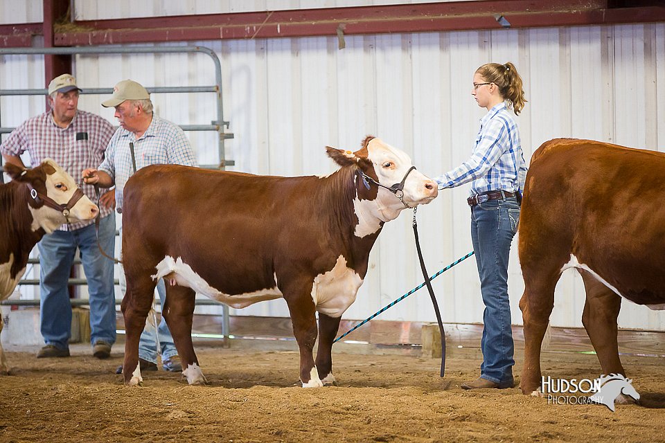 LCFair2016-1635.jpg