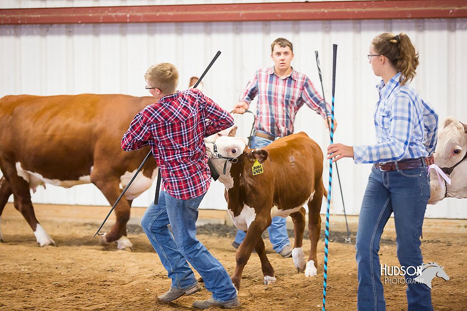 LCFair2016-1752.jpg