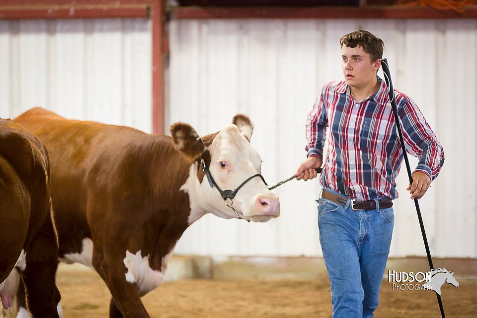 LCFair2016-1754.jpg