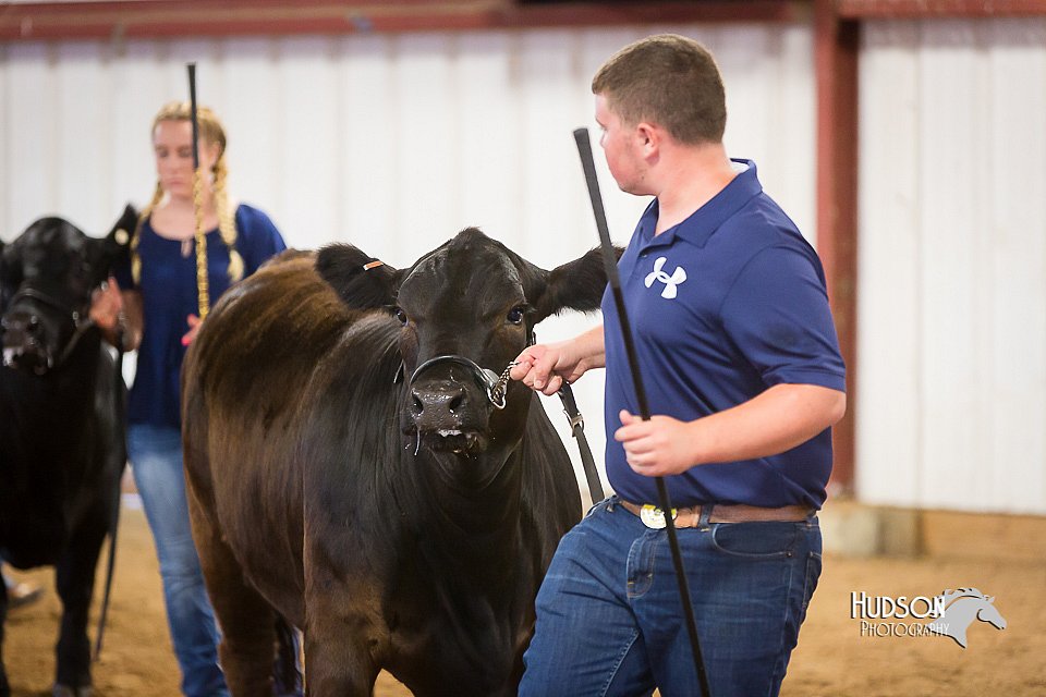 LCFair2016-1819.jpg