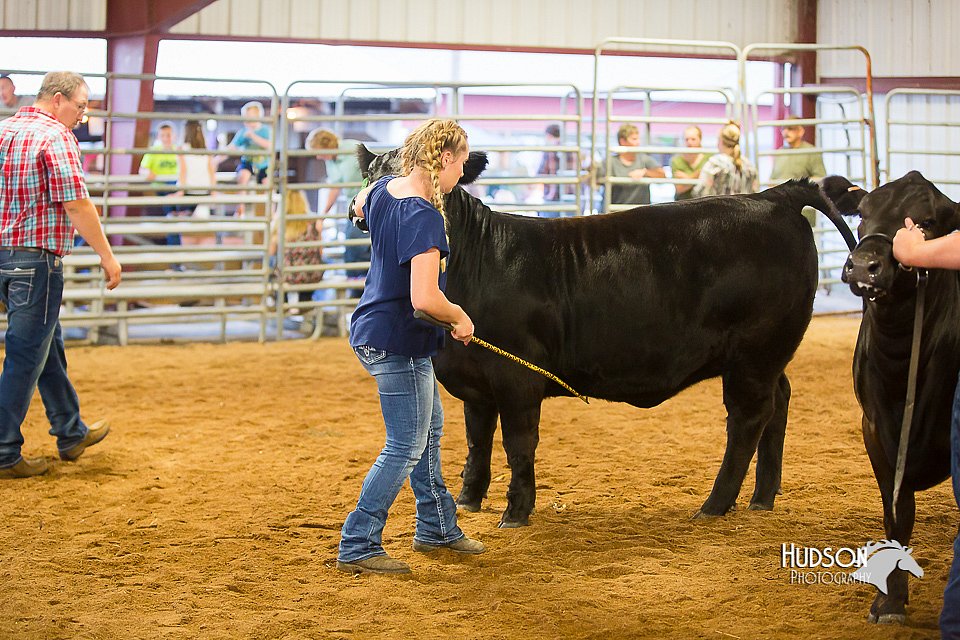 LCFair2016-1820.jpg
