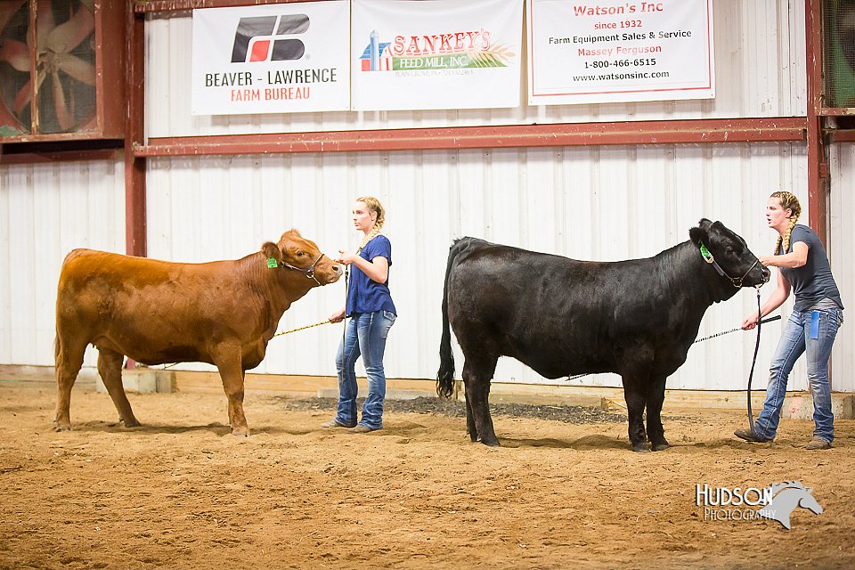 LCFair2016-1864.jpg