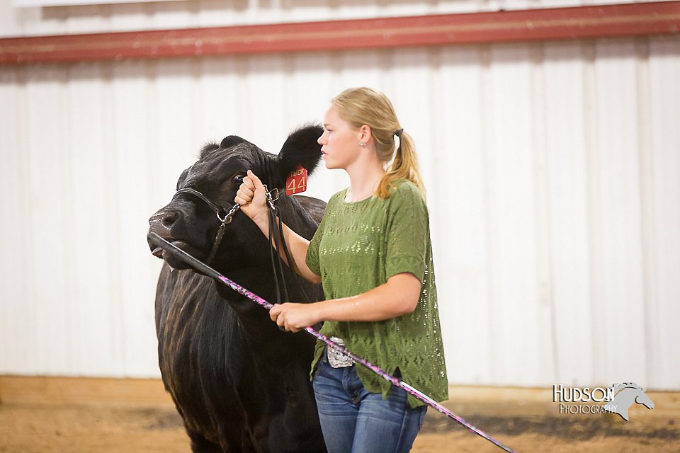 LCFair2016-1885.jpg