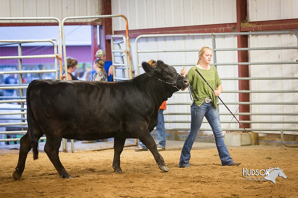 LCFair2016-1886.jpg