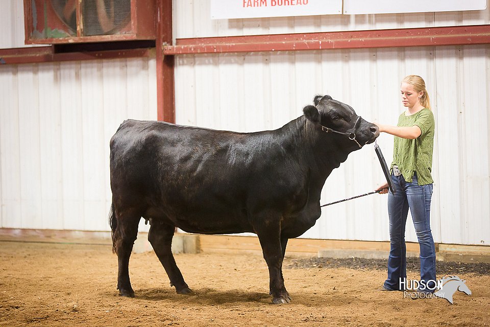 LCFair2016-1895.jpg